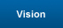 Vision